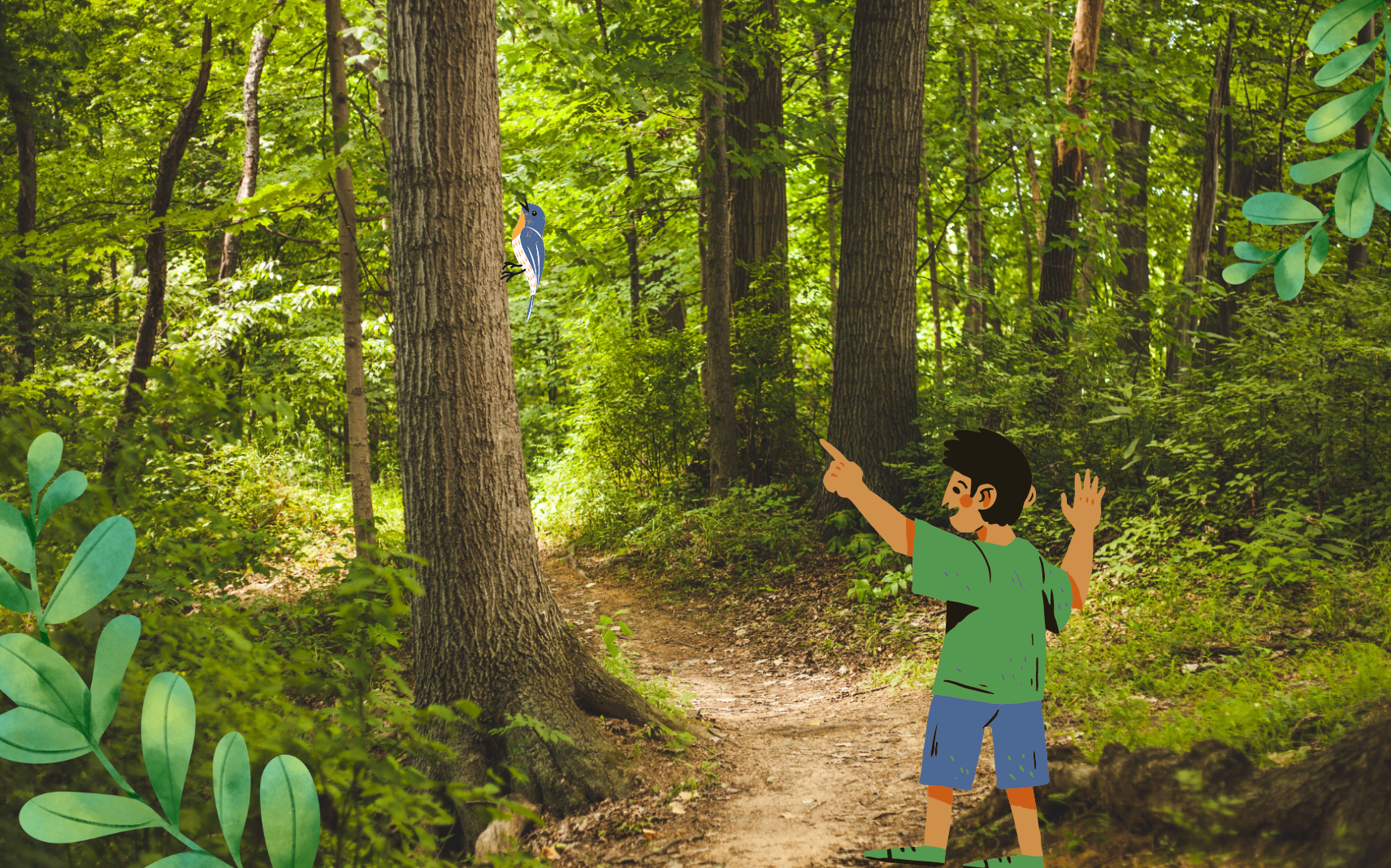 „Ab in den Wald!“ – Basiskurs Natur- und Wildnispädagogik